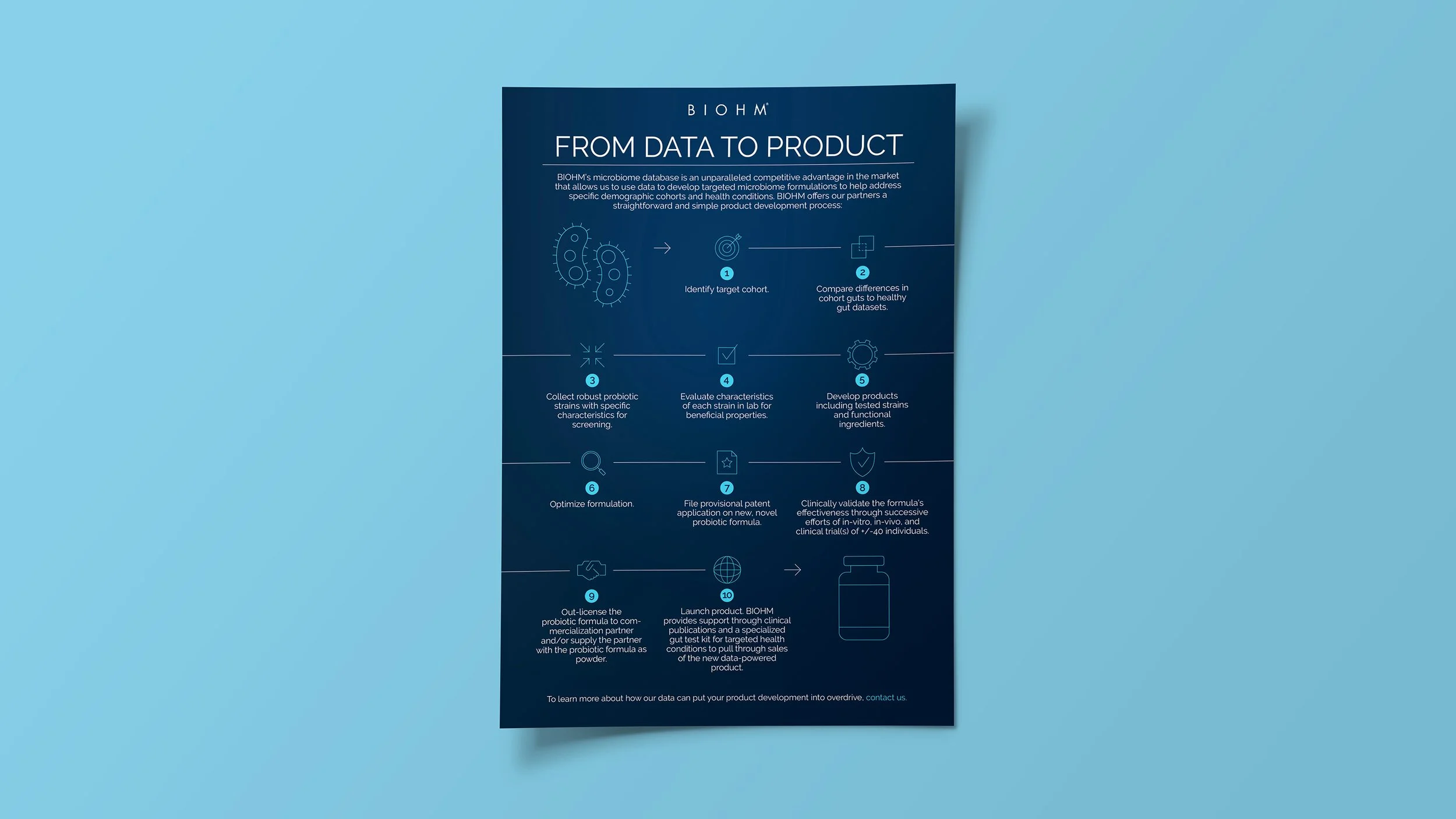 Branded Infographic