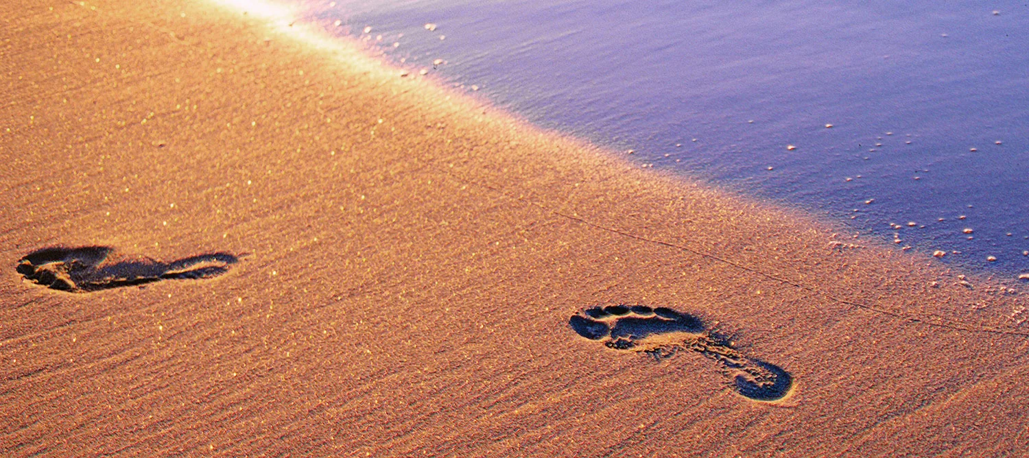 footsteps-in-sand-teaser.jpg
