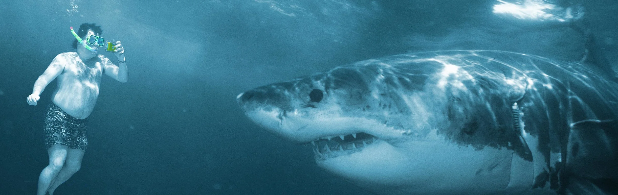 snorkler-and-great-white-shark-teaser.jpg