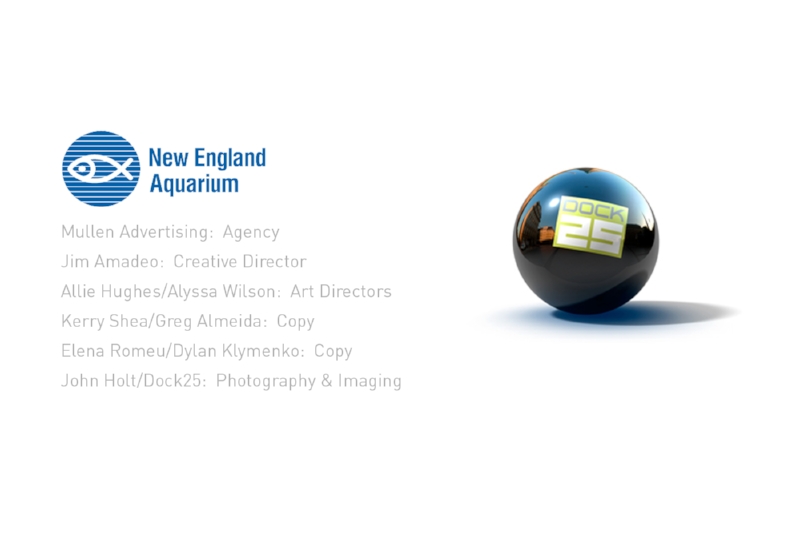 NE-Aquarium.jpg