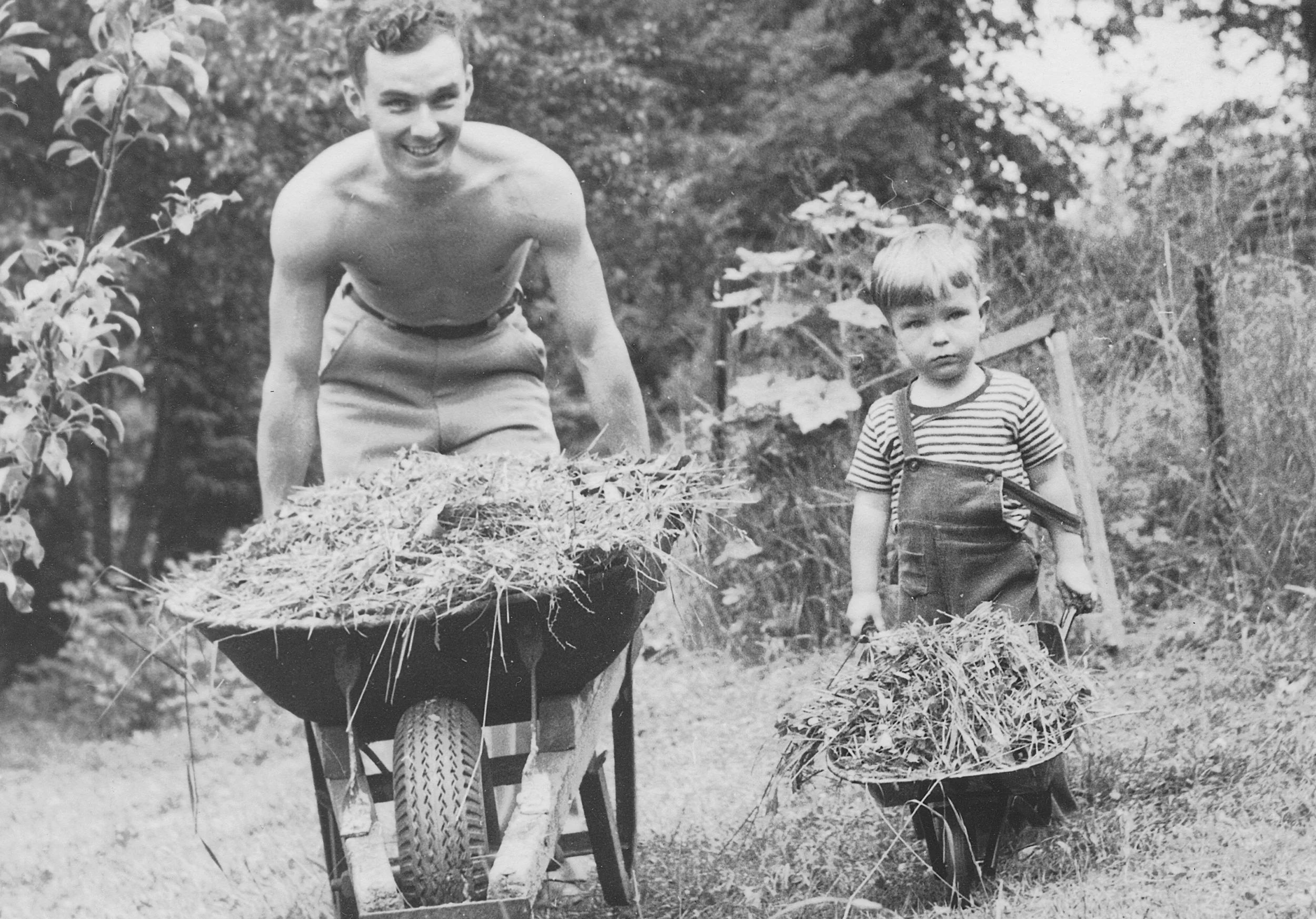 wheelbarrows.jpg