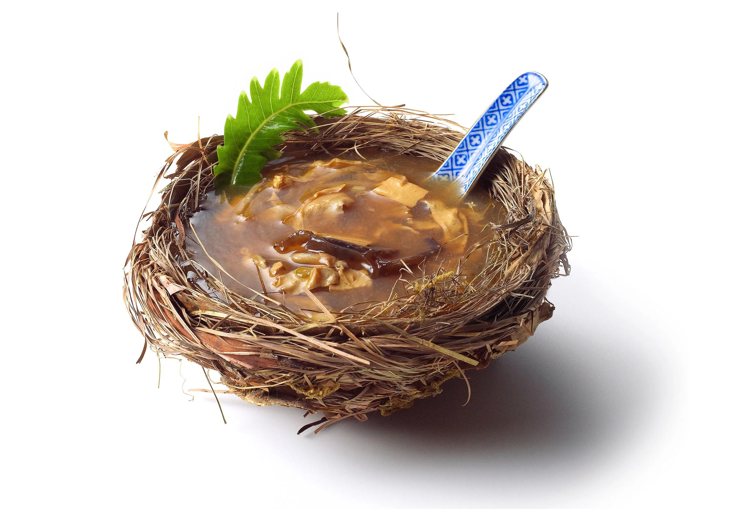 birds-nest-soup2.jpg
