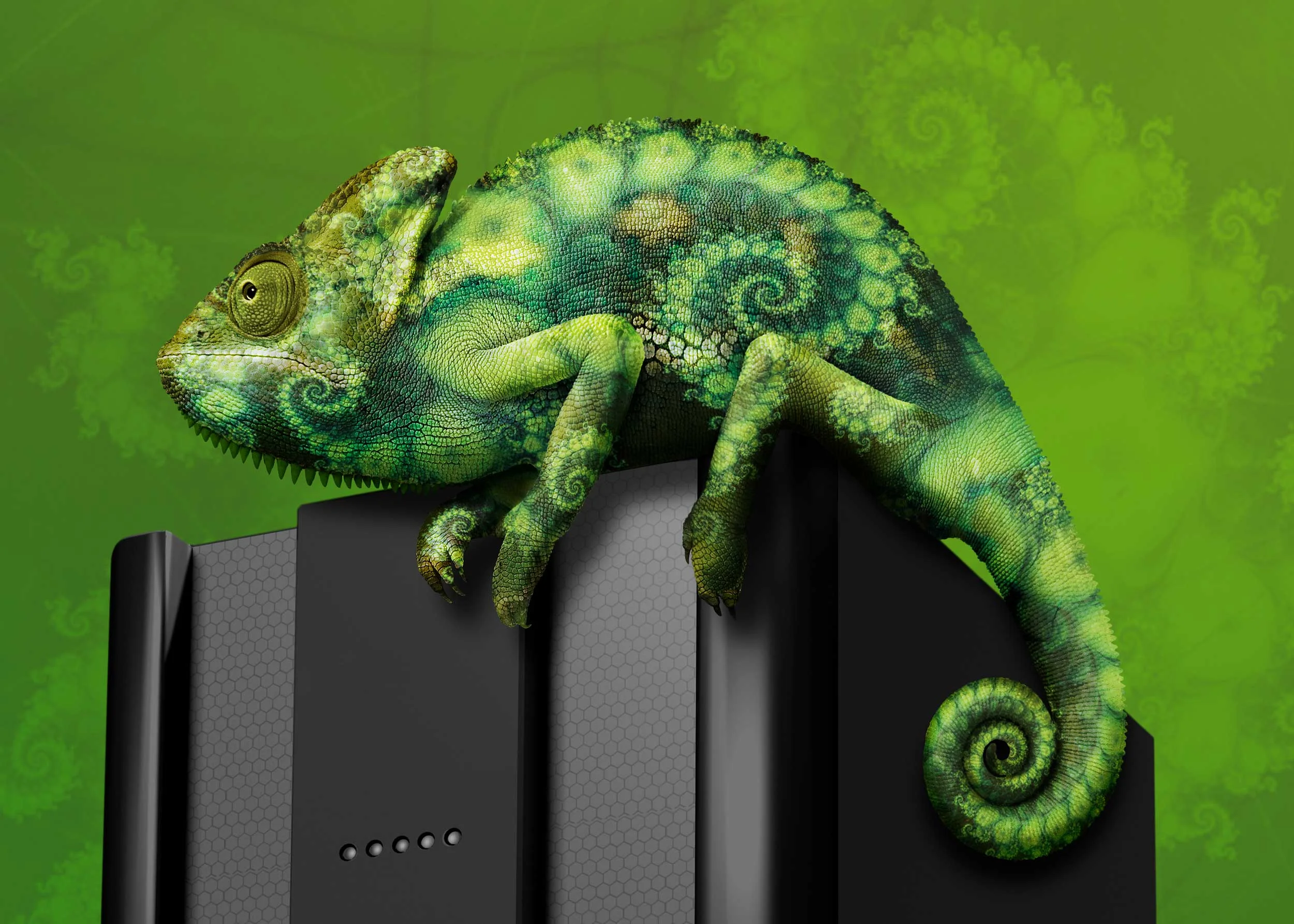 Retouched fractal lizard _________________________________________________________