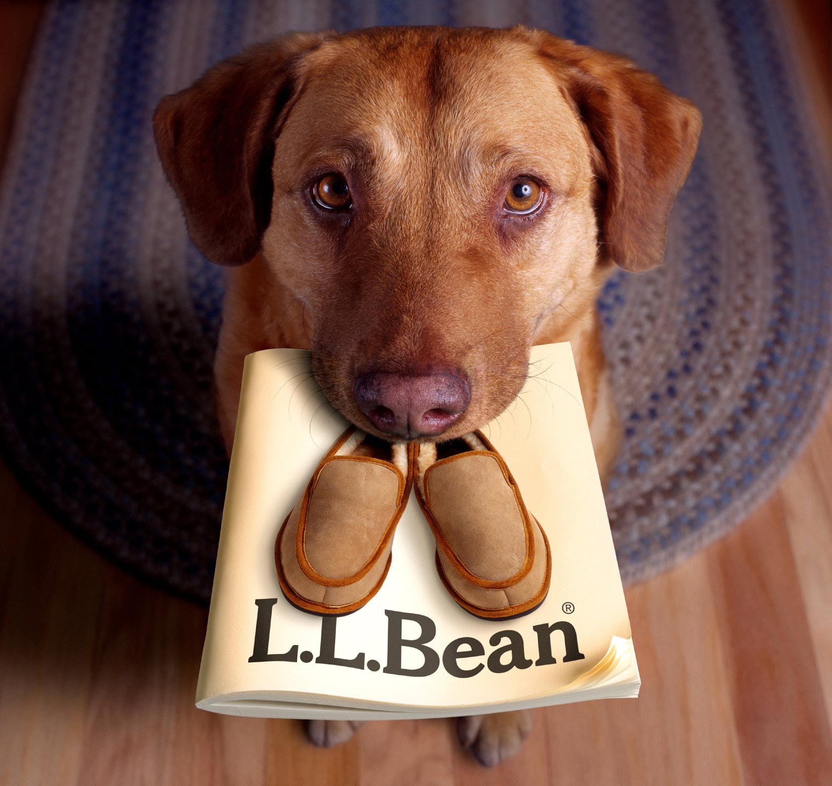 ll-bean-dog-w-slippers.jpg