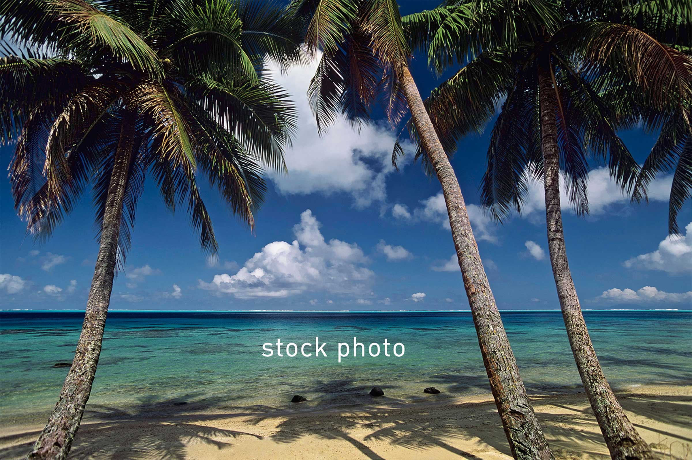 celebrity-caribbean-stock.jpg