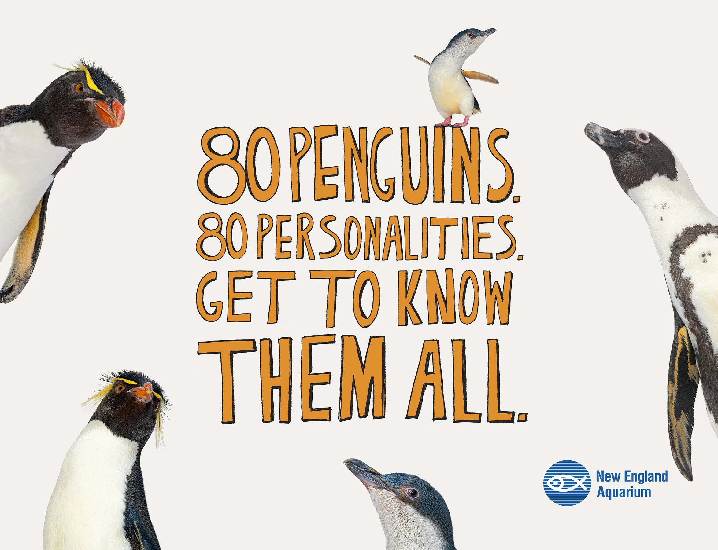 80penguins.jpg