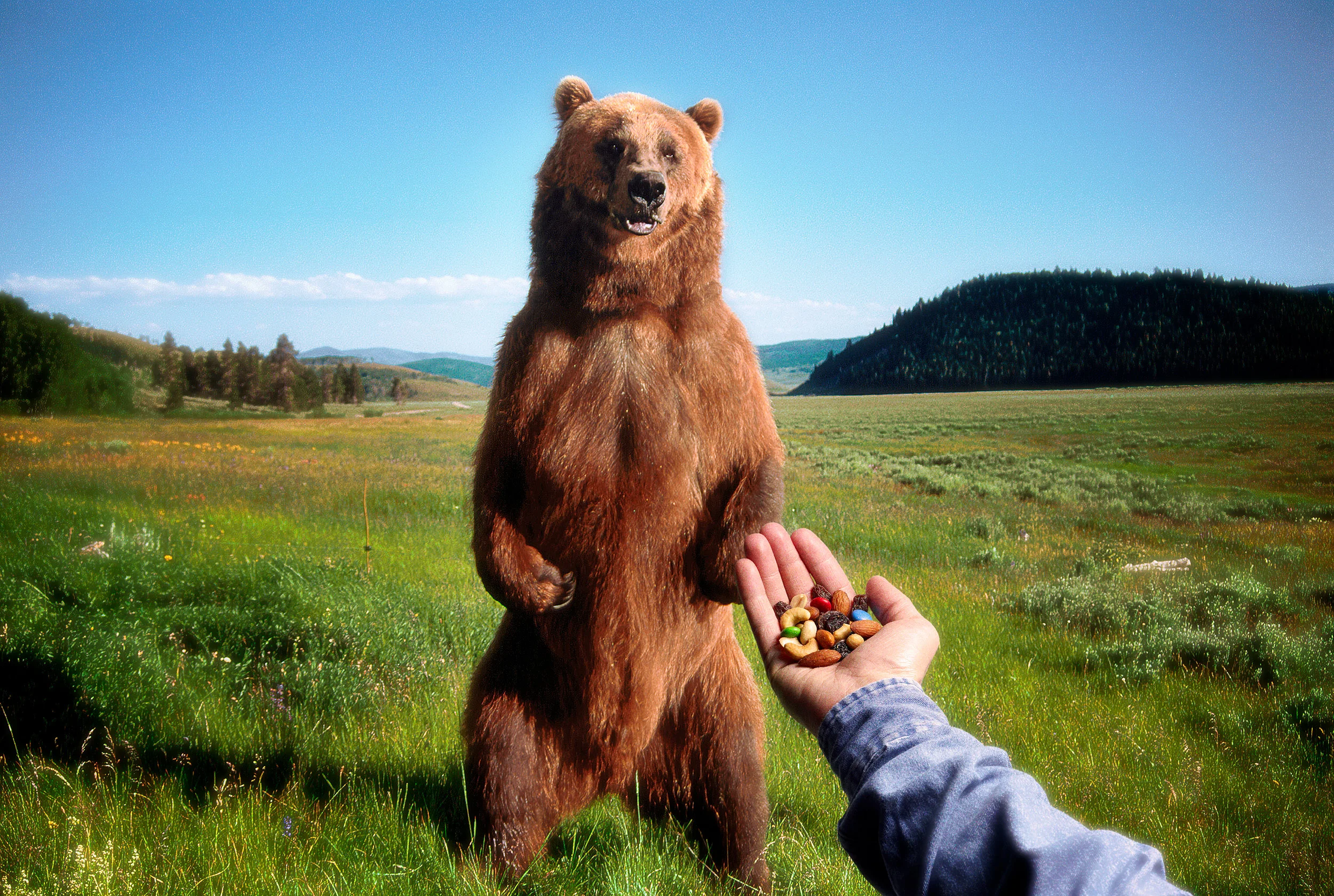 Want Some Trail Mix?