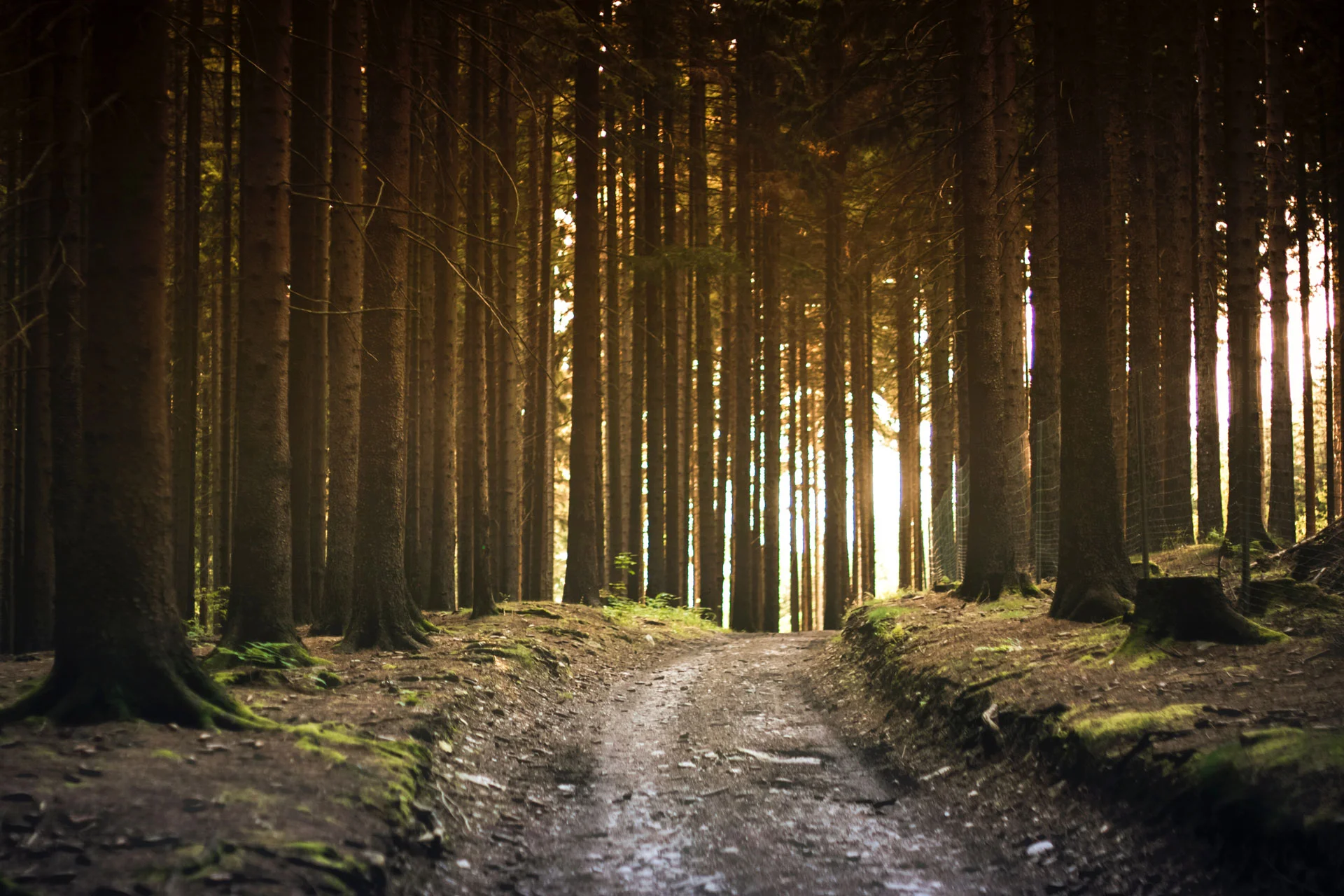 header4.jpg