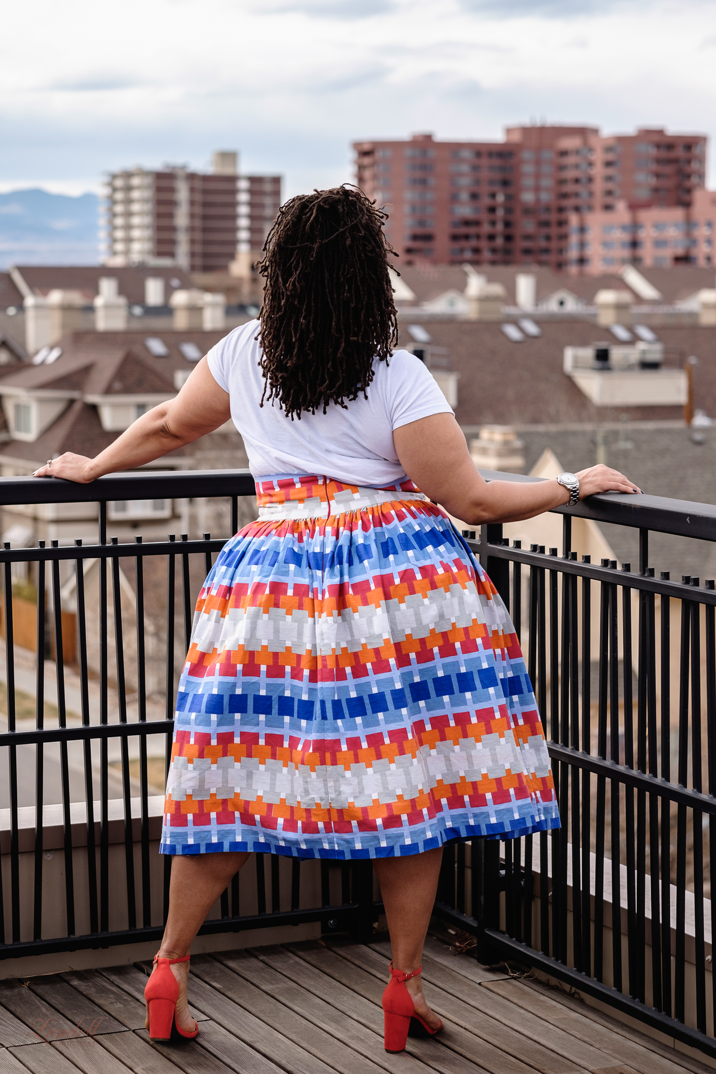 Roof-Raj_2017Mar05-13.jpg