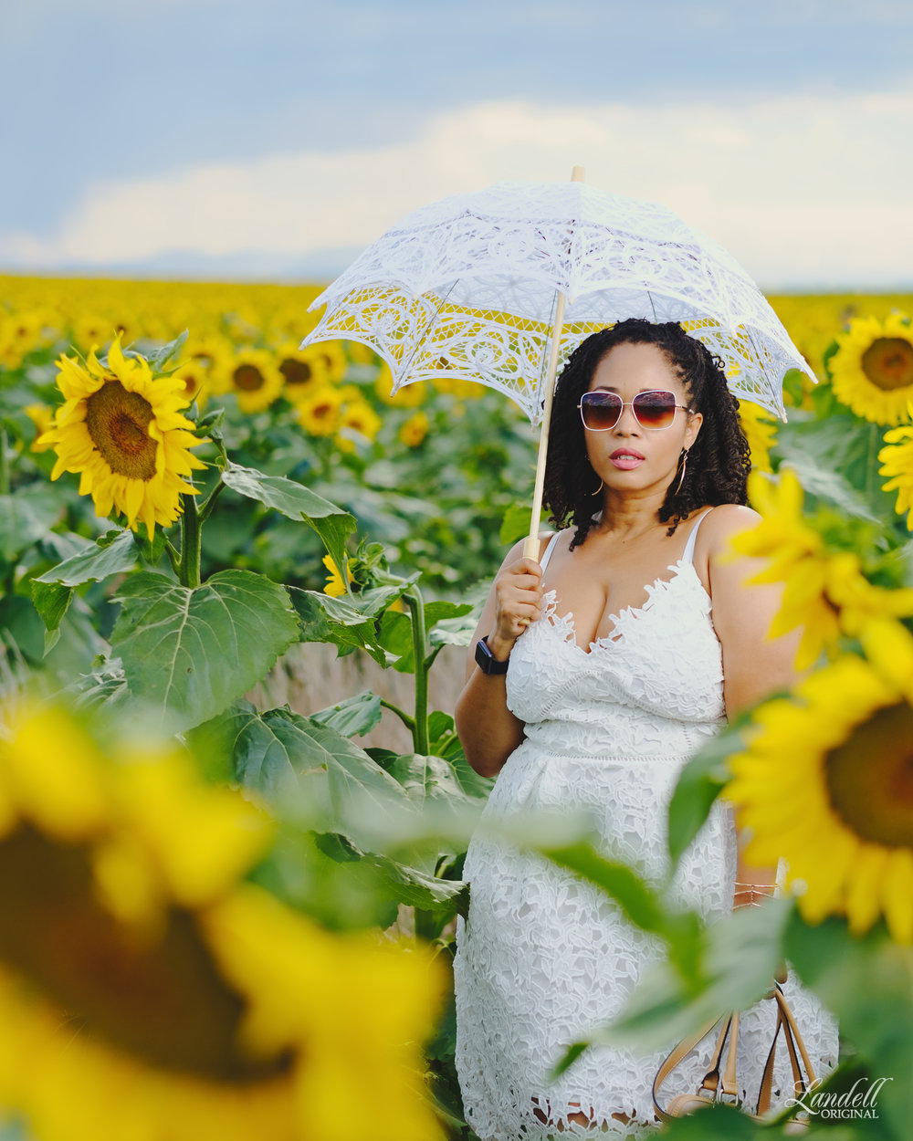 RAJ_BG-SUNFLOWERS_08-19-2017_0003.jpg