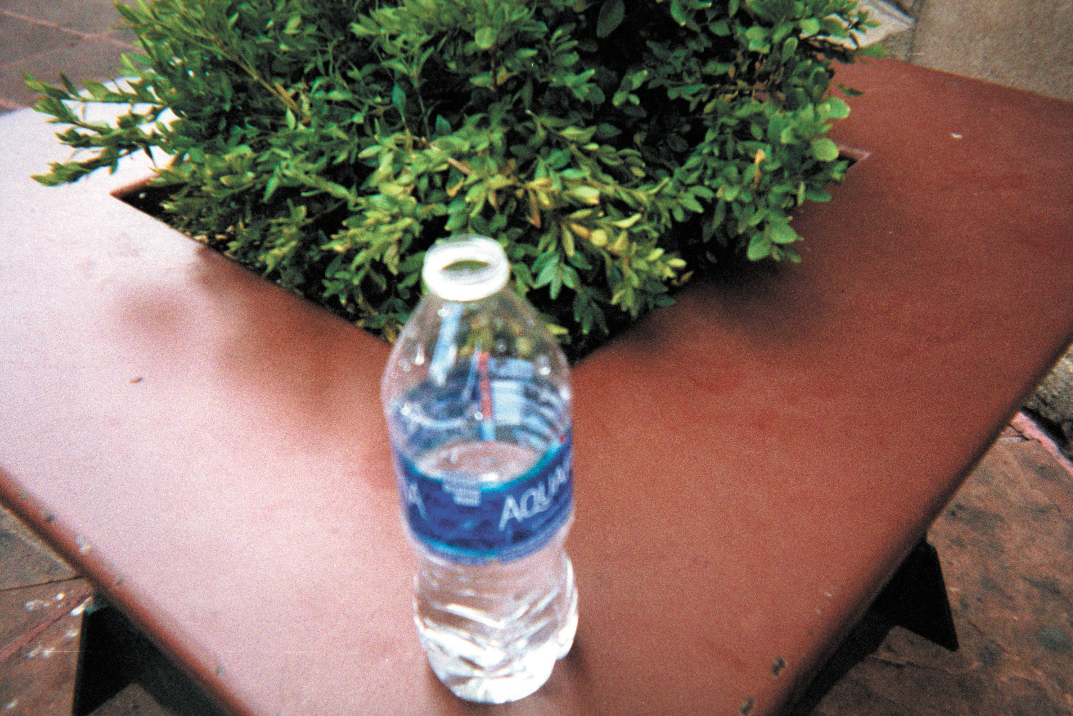 A planter along the 16th Street Mall