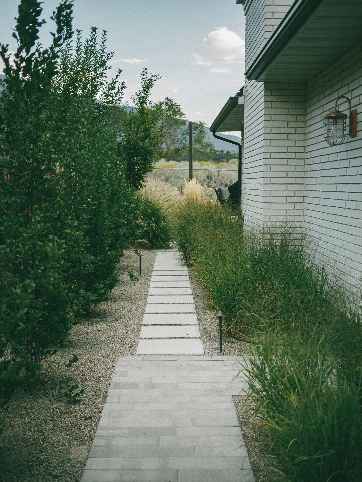 Copy of P1200555.JPG