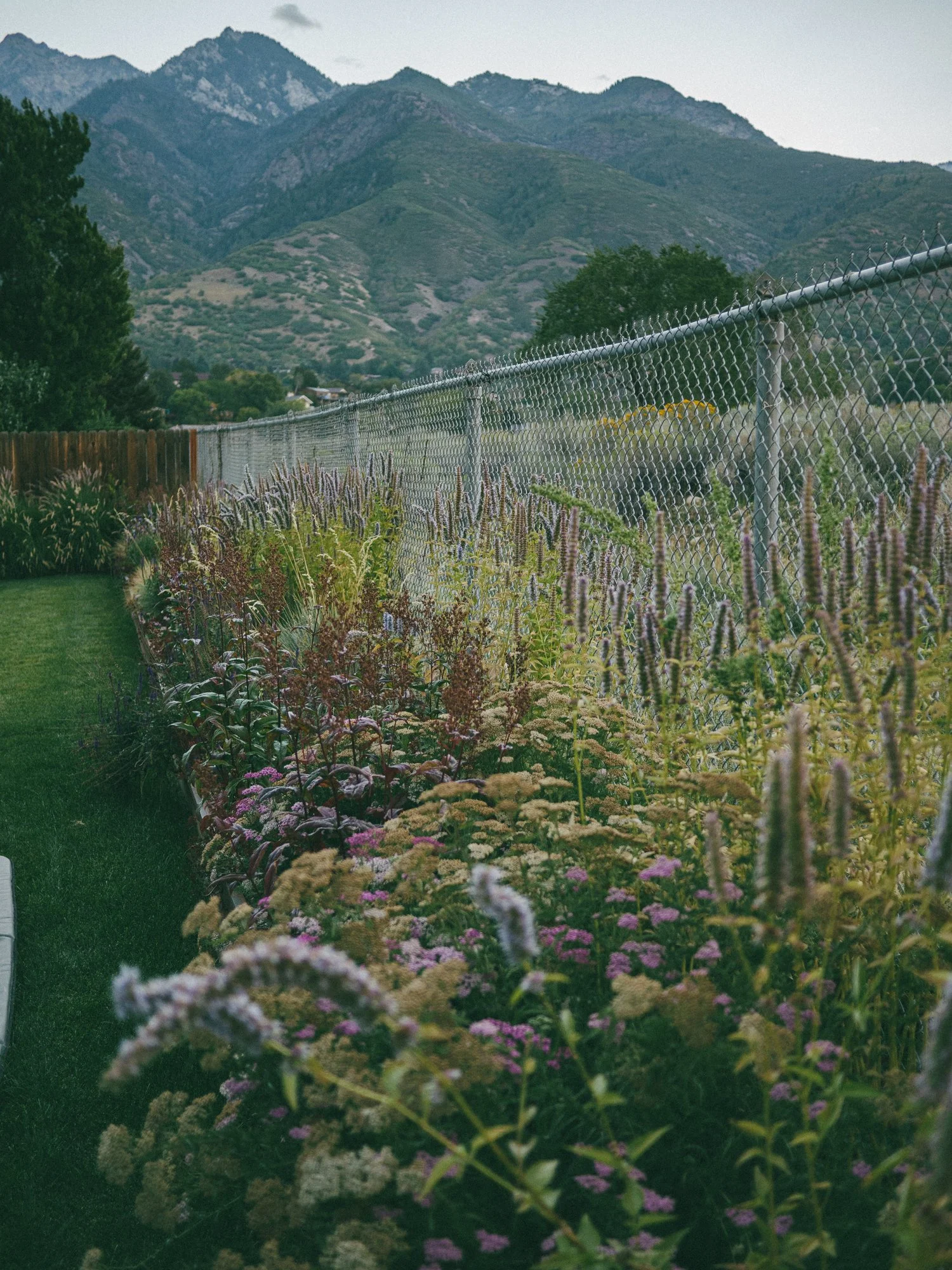 Copy of P1200636.JPG