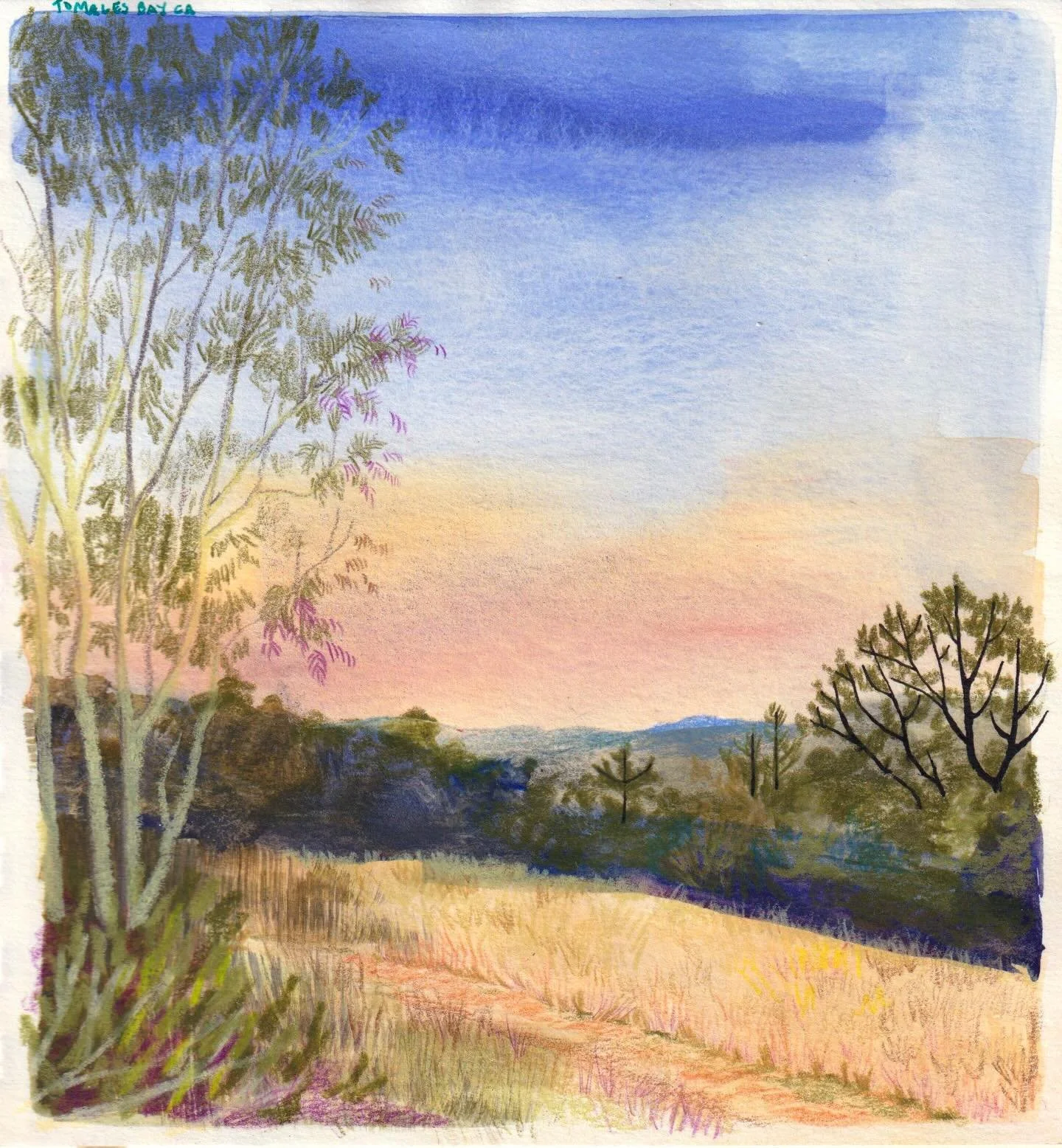 my scanner can&rsquo;t really capture glitter which is obviously the least of our problems but still a problem ok?? drawn on a wander before excellent dinner at @mablesrestaurant 💕