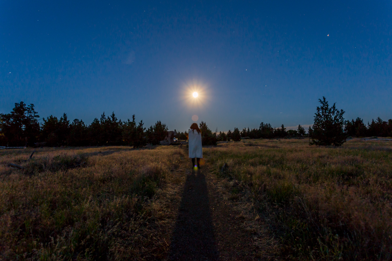 File Feb 20, 4 58 23 PM.jpeg