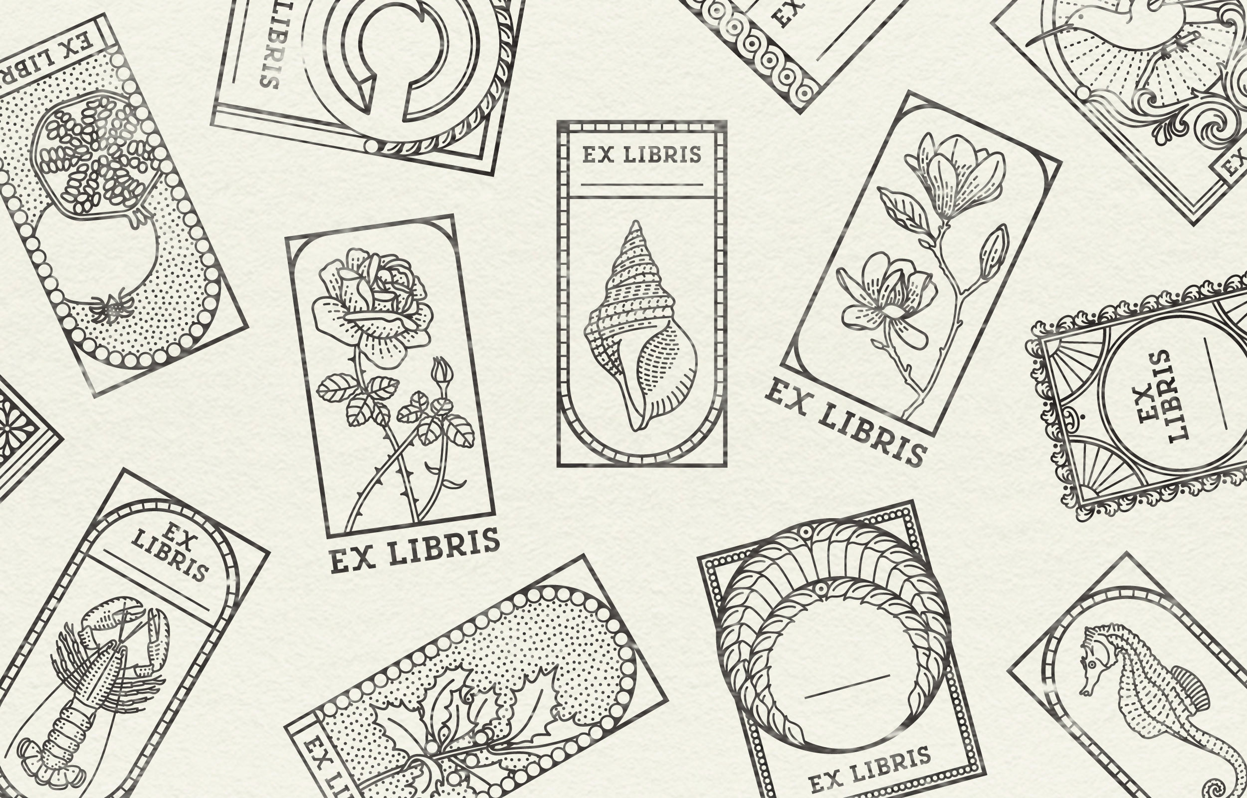 Claradelorenzi Com Ex Libris Room Claradelorenzi Com Ex Libris Room