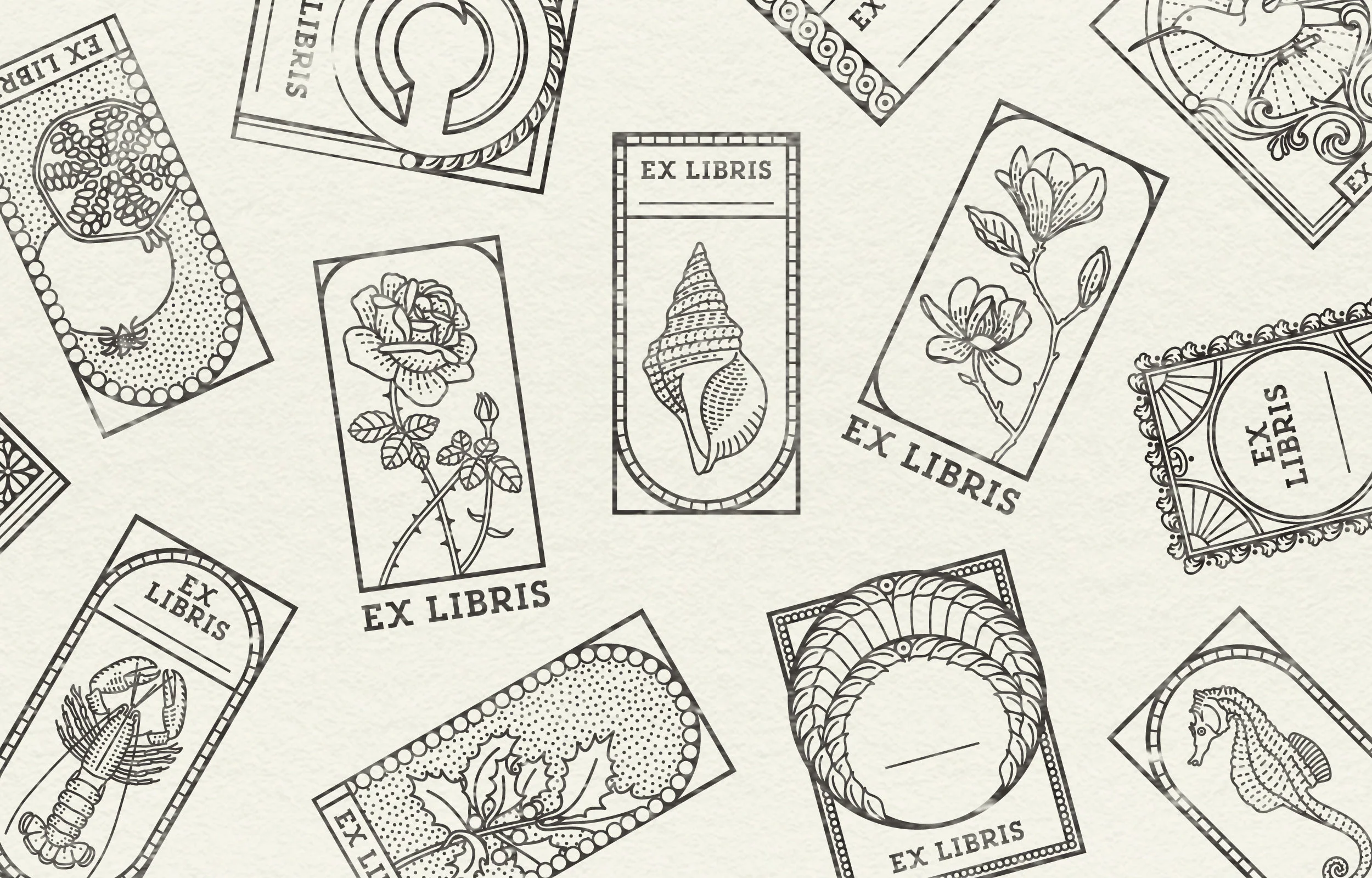 clara-de-lorenzi-ex-libris-room.jpg