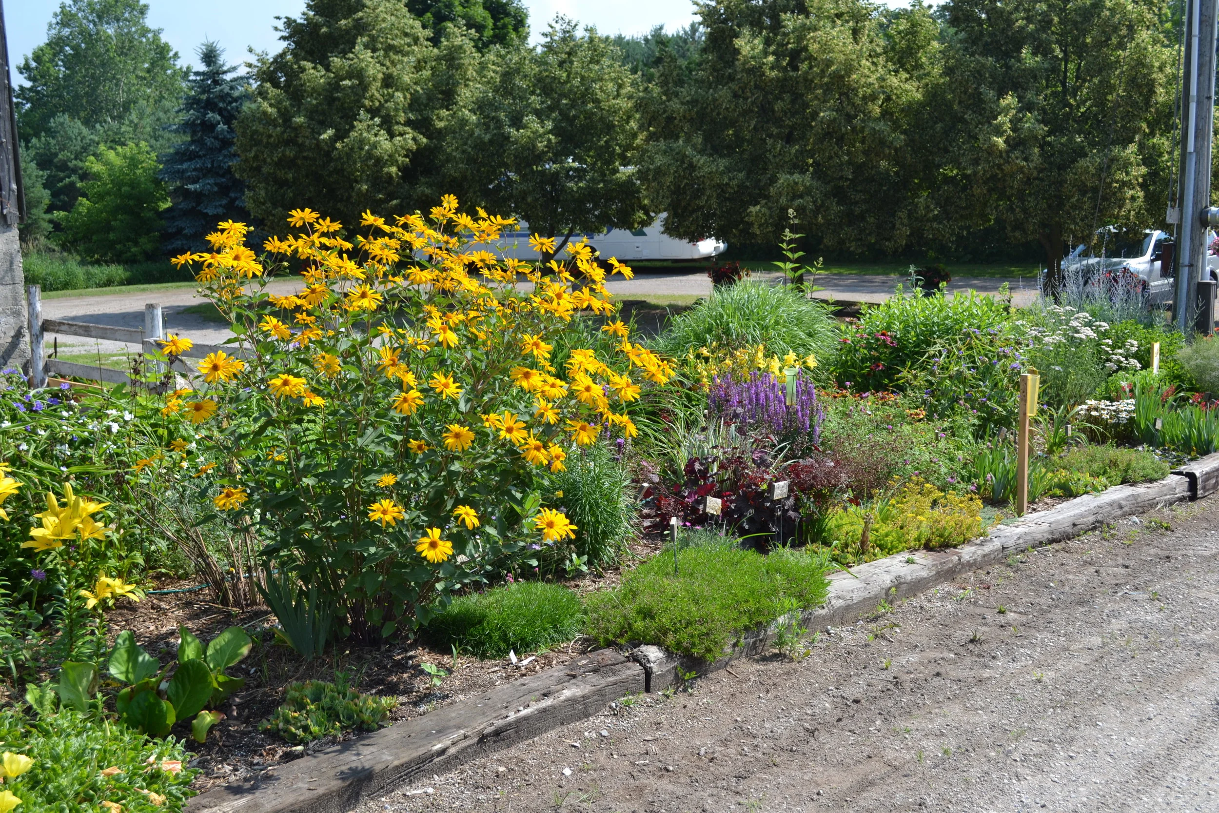 CIB ONTARIO 006-Bluewater.JPG