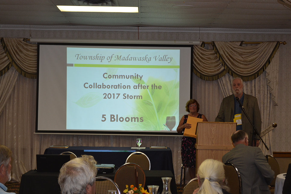 Madawaska Valley Blooms-LZ.jpg