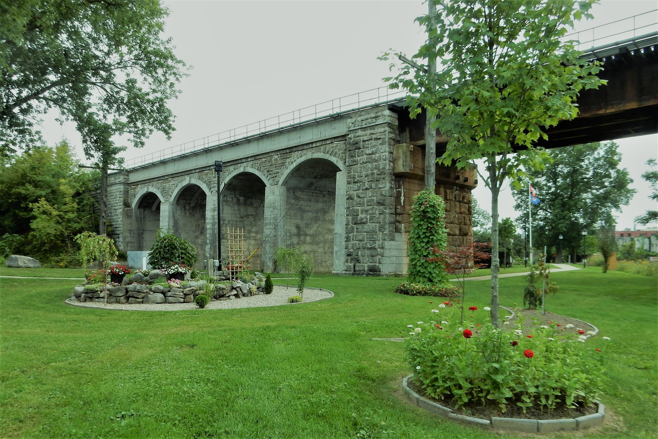 DSCN6967-adj.jpg