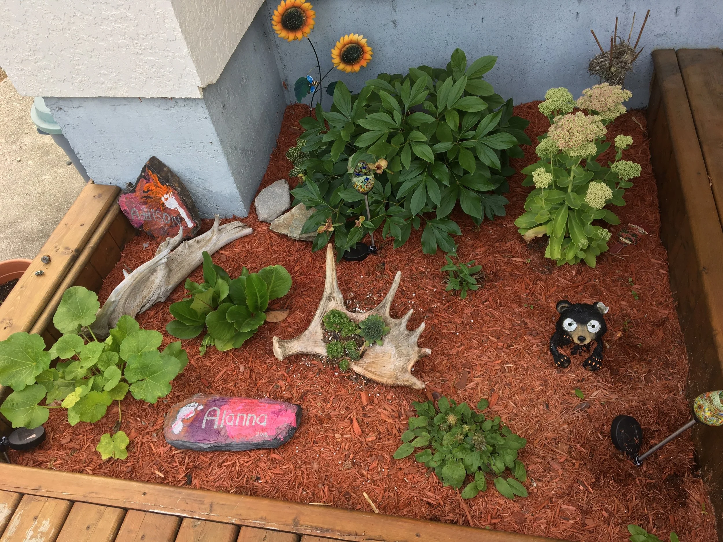 Garden.jpg