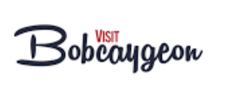 Bob Temp Logo.png