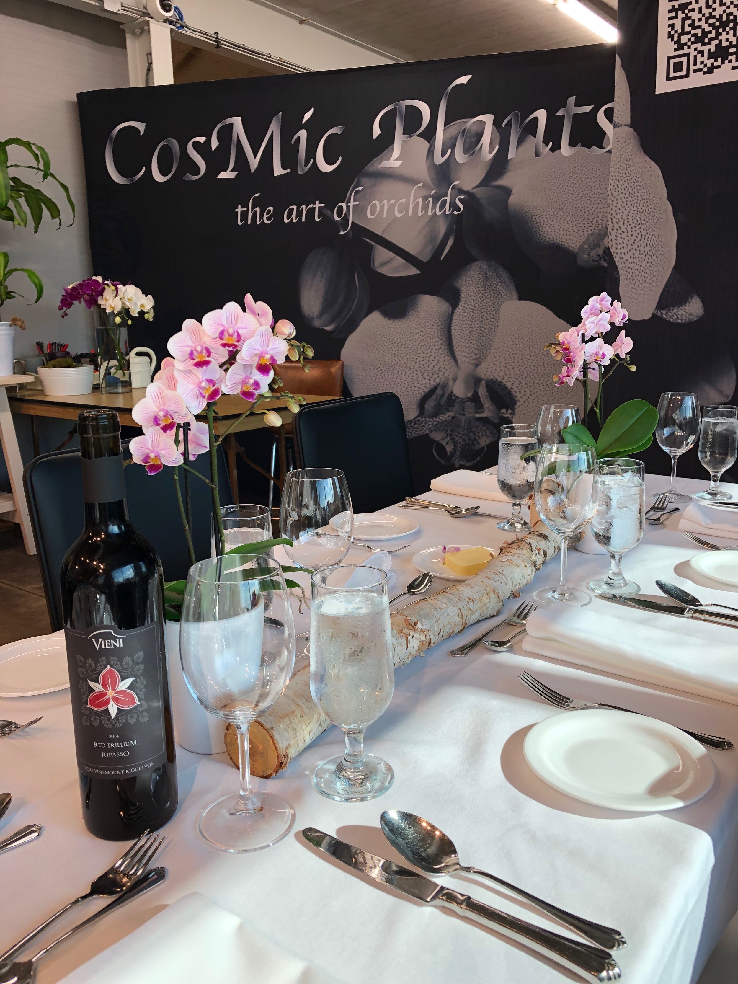 CosMic Dinner 6.jpeg