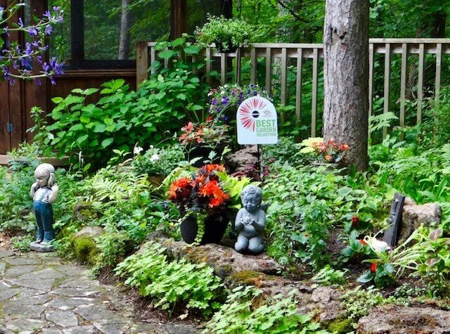 2020 Miracle-Gro Best Garden Selection