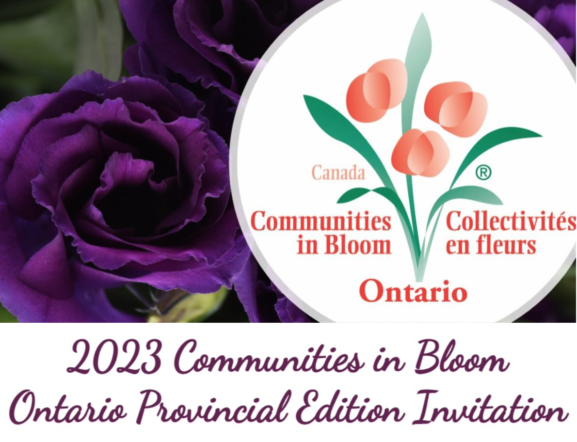 CiB Ontario 2023 Invitation