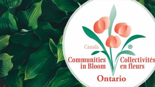Congratulations to the 2024 CIB Ontario Communities!