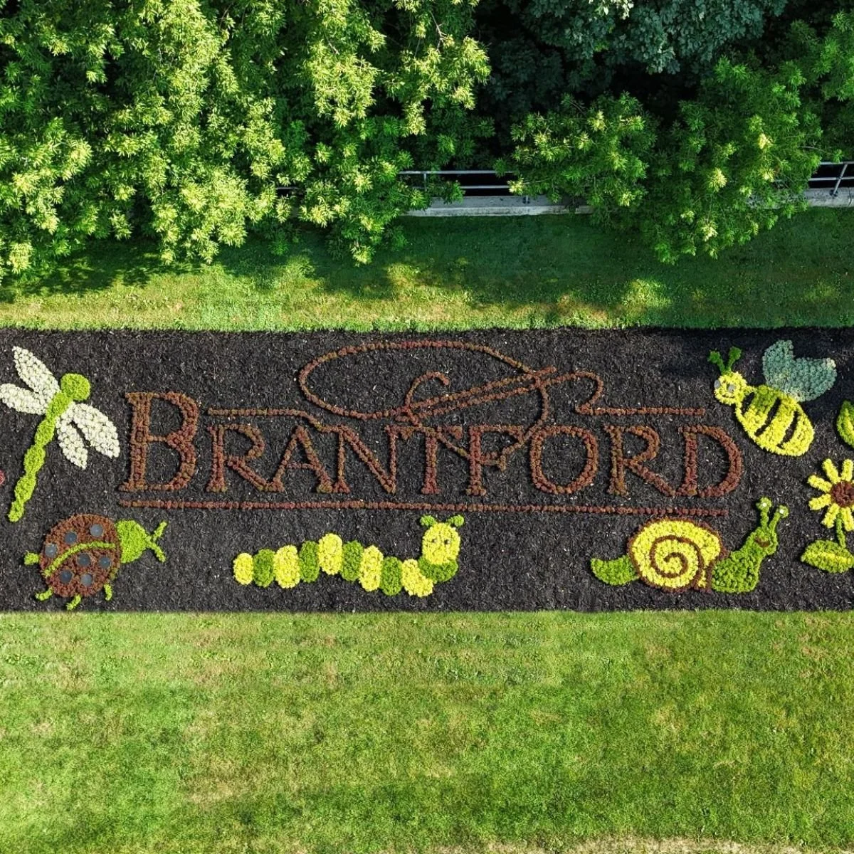 Brantford 5.jpg