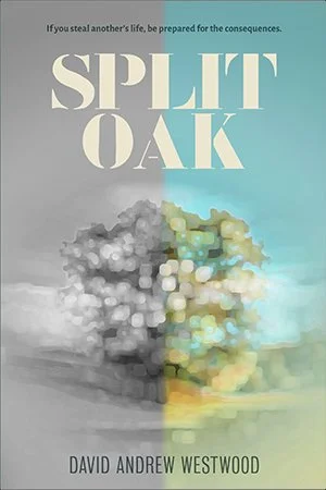 WEB-SPlit-cover.jpg
