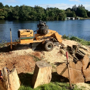 STUMP GRINDING &amp; REMOVAL