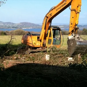 SITE CLEARANCE