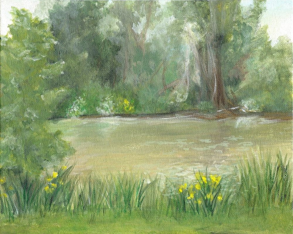 Hall's Pond