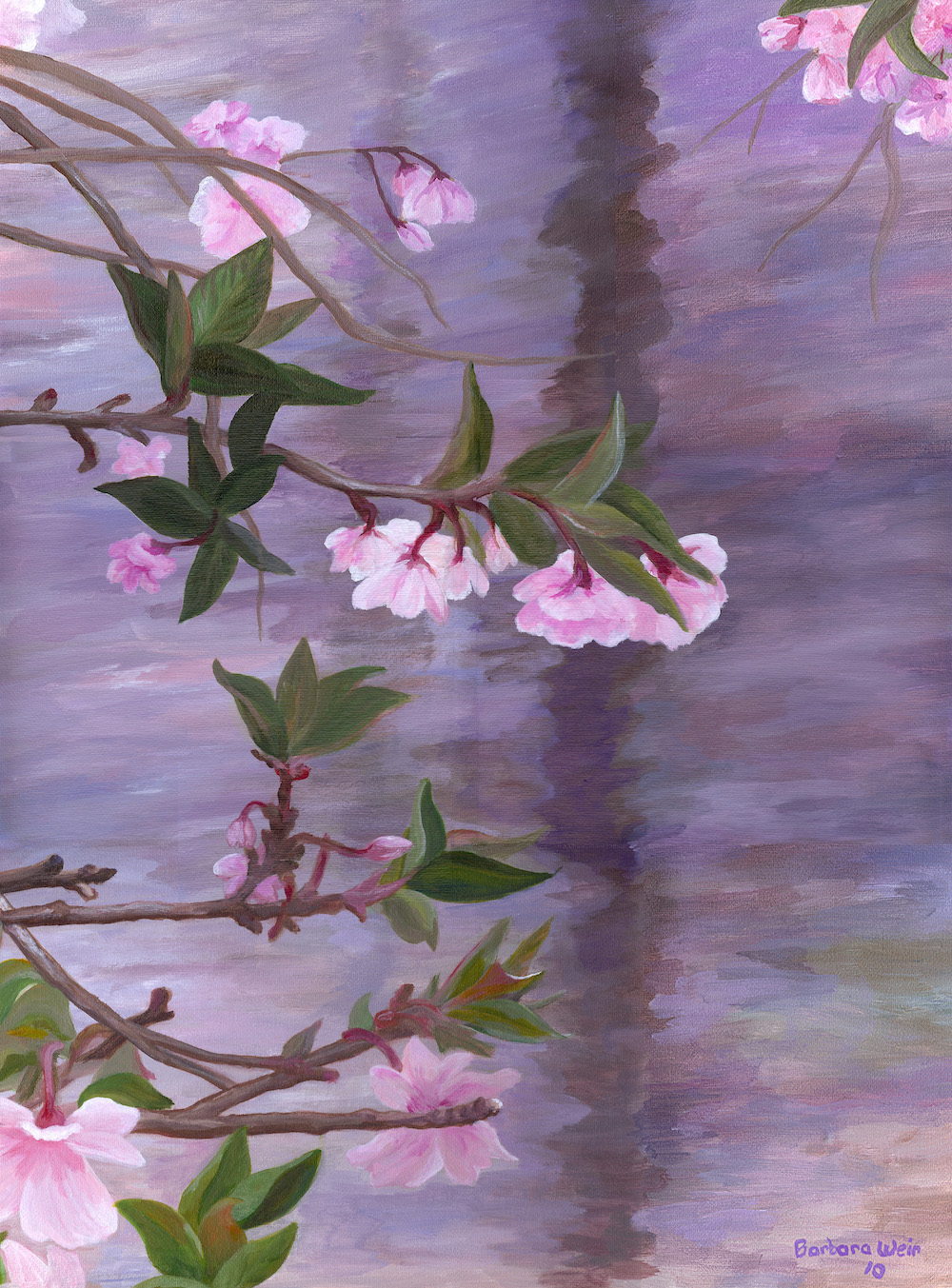 Cherry Tree