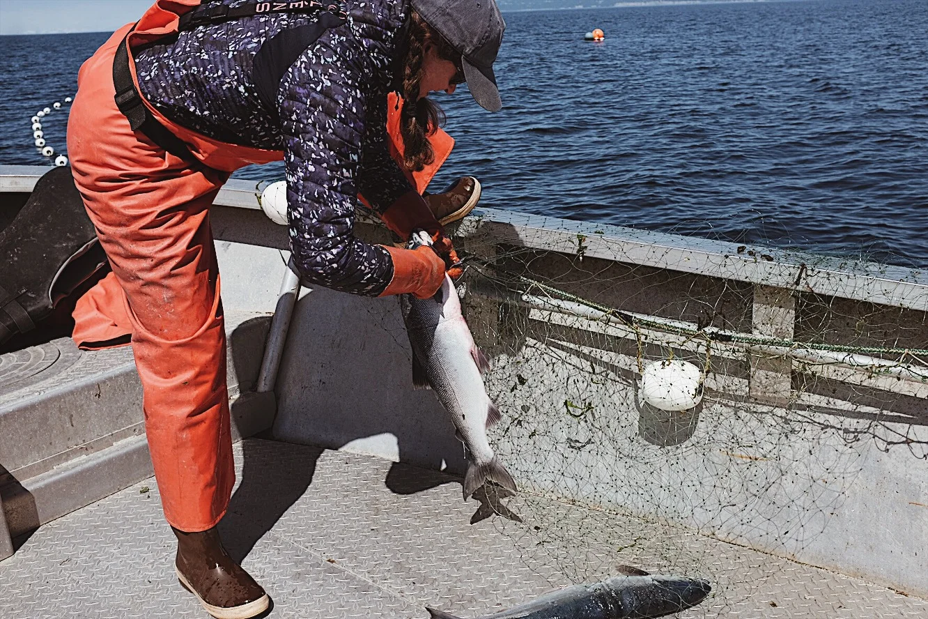 Adventure Travel Guides Release Travel