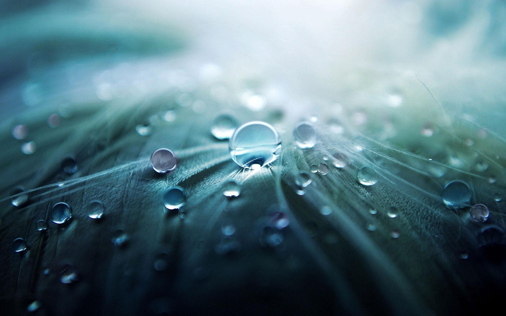 water droplets.jpeg