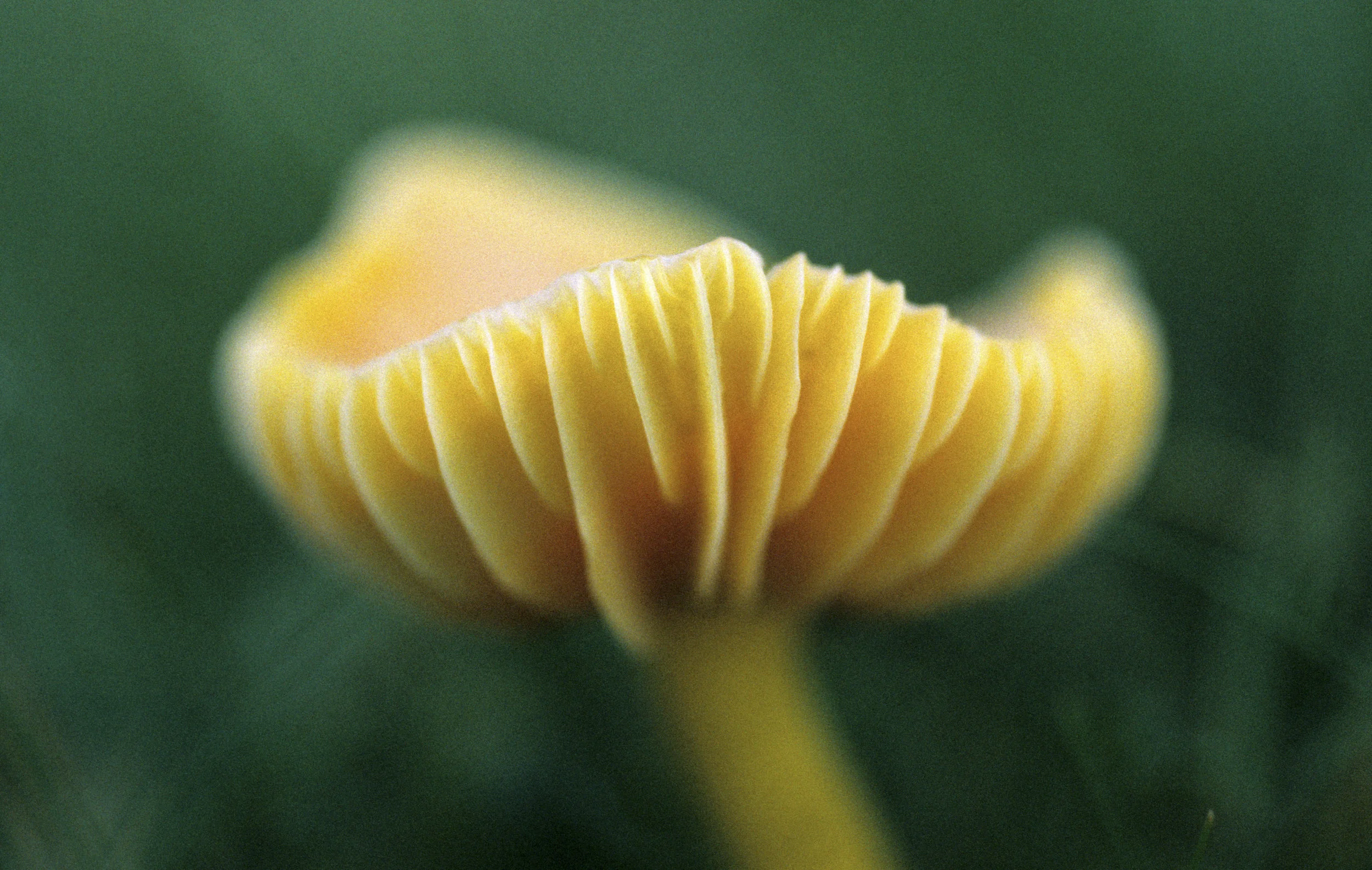 Image 9.jpg