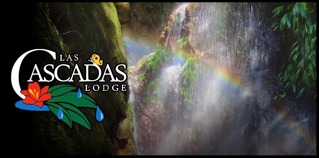 rainbow hunting Upper Falls @lascascadaslodge