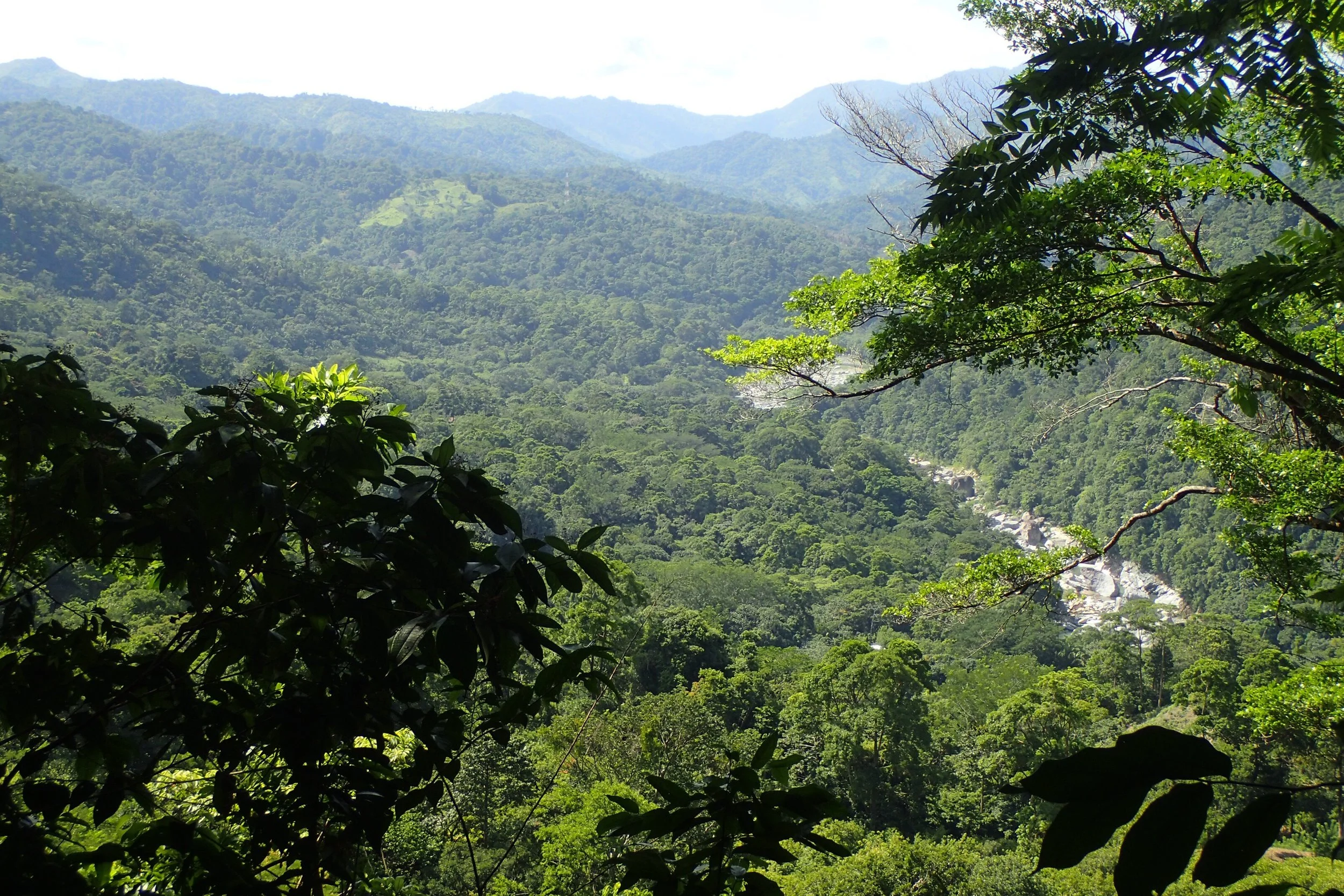 The Valley of the Cangrejal River provides lots of adventure tour options while you vacation with us!