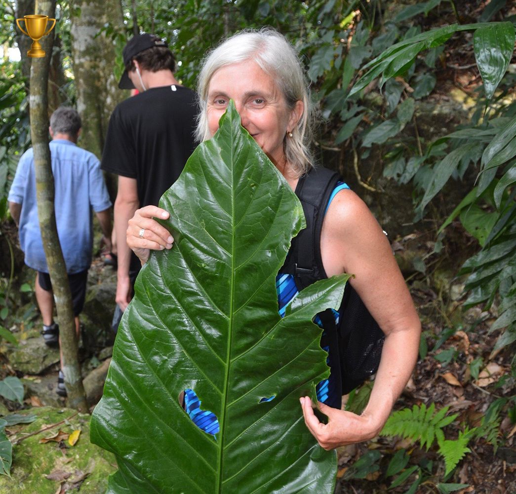 Guided Hike in Pico Bonito 