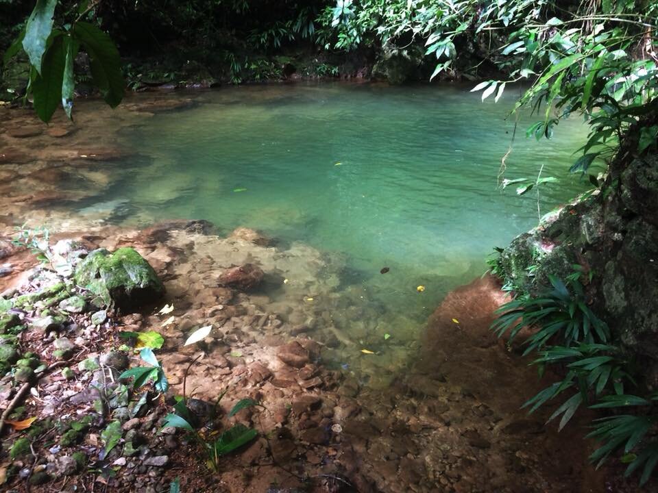 plunge pool