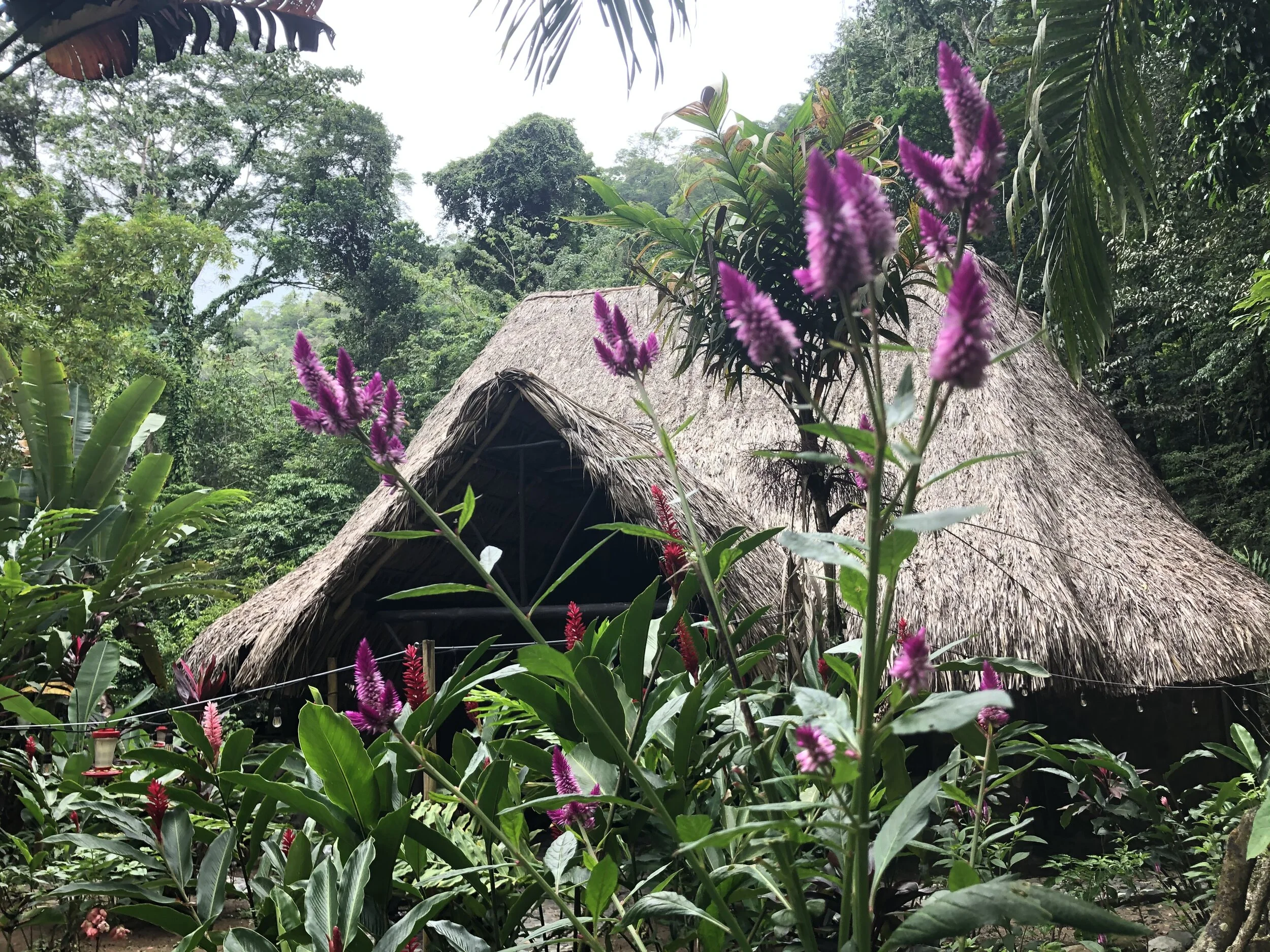 Main House - Las Cascadas Lodge