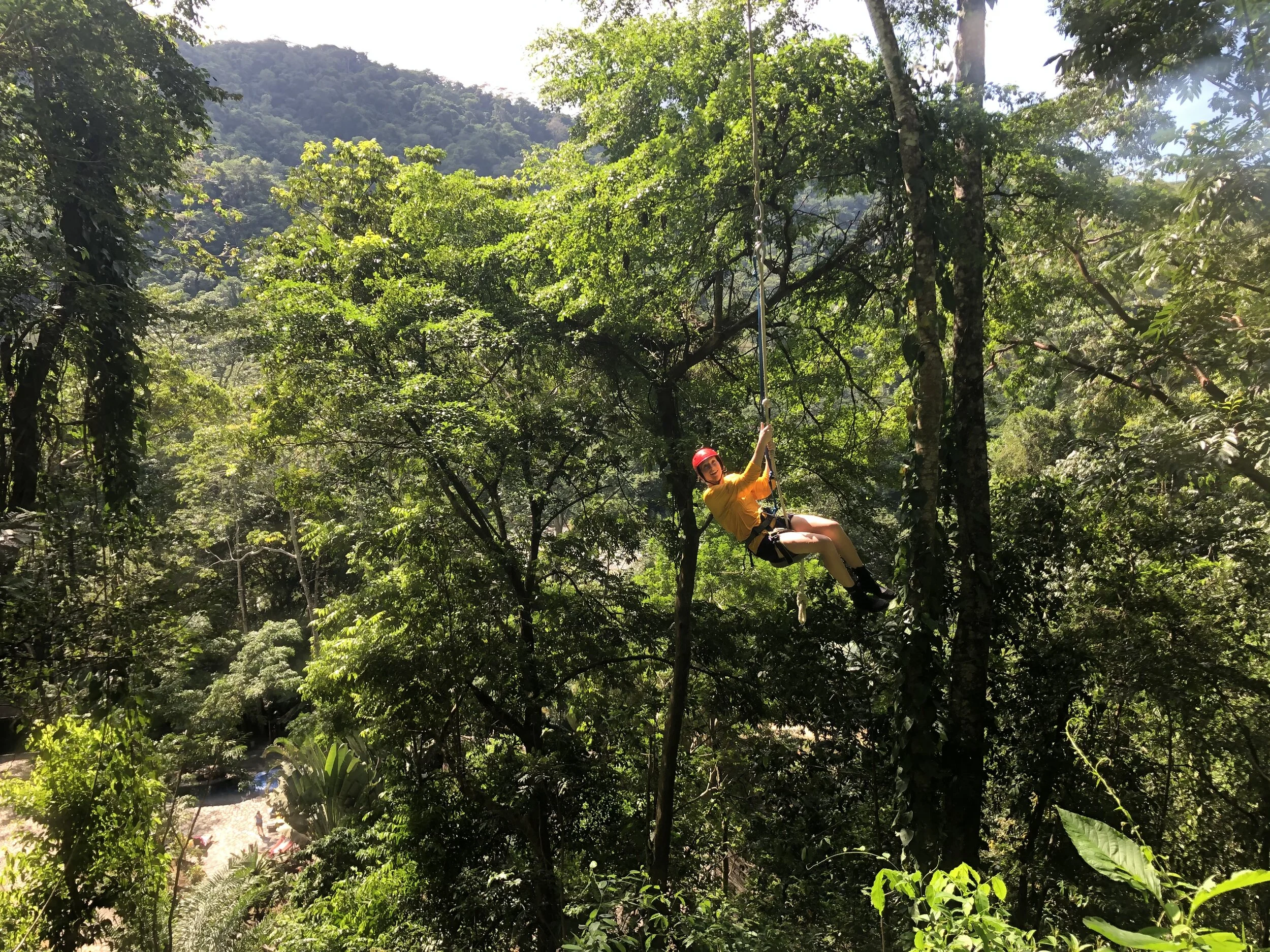 The Mountain Swing