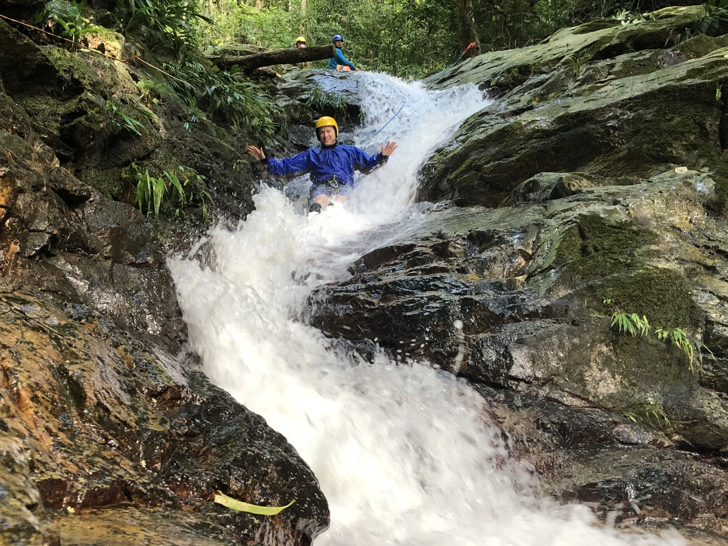 Jungle Adventure