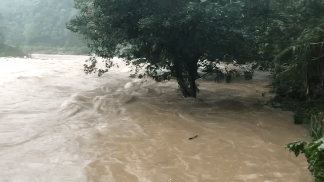 2 days before arrival