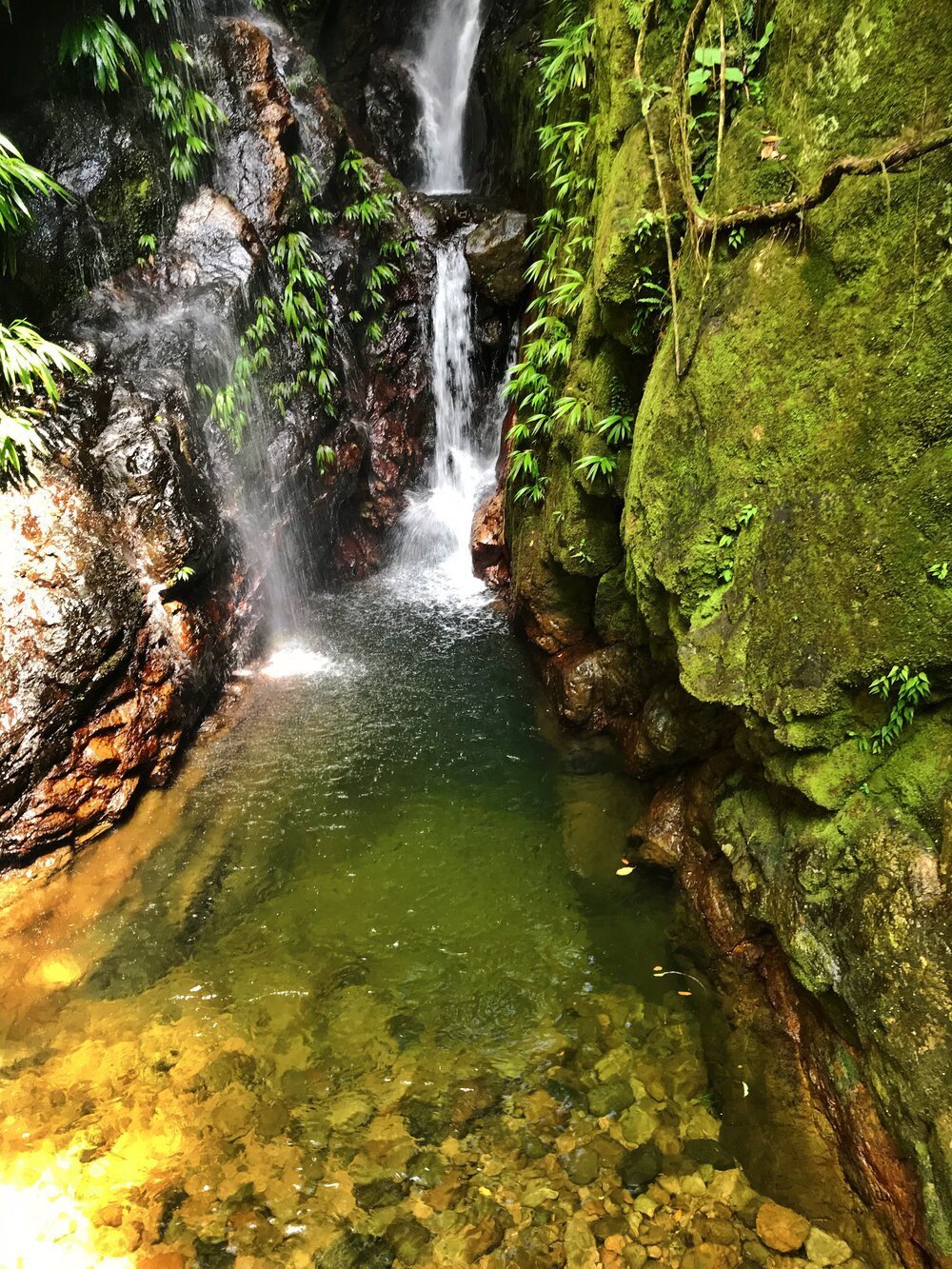 natural pool