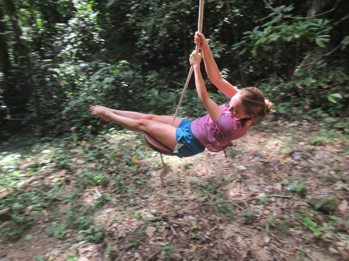 jungle swing