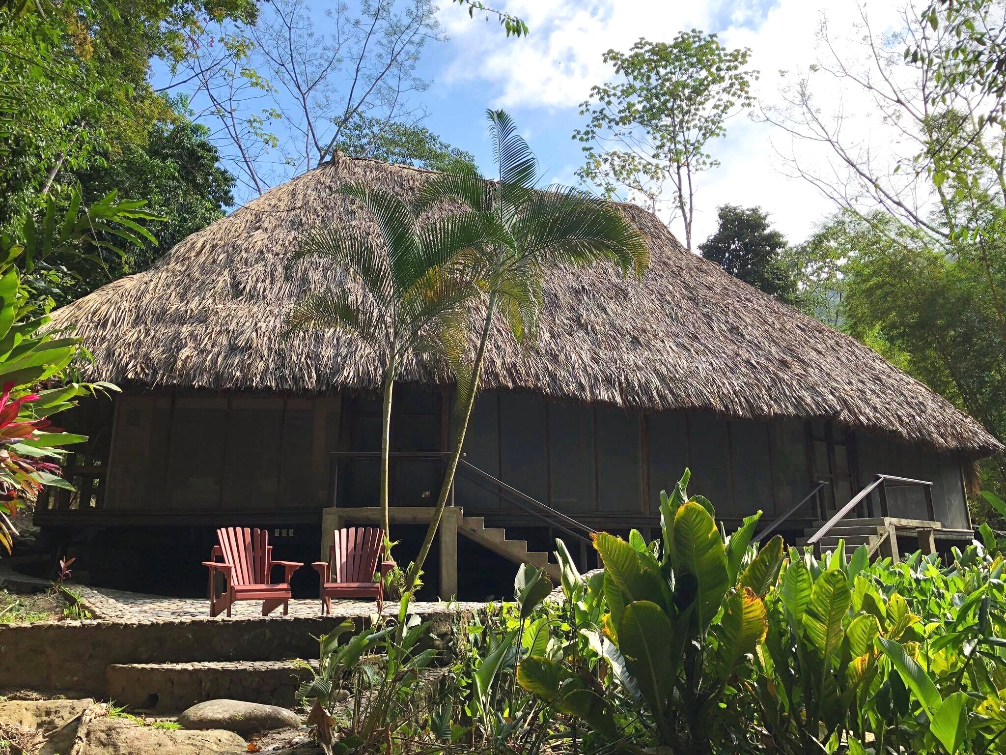 Jungle Lodge